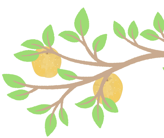 梨の木のイラスト