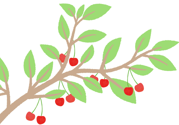 さくらんぼの木のイラスト